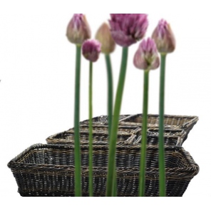 PROFI LINE Korb GN 1/2, APS 40290