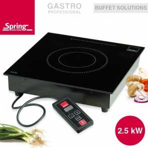 Einbau-Induktionsplatte 2,5 kW