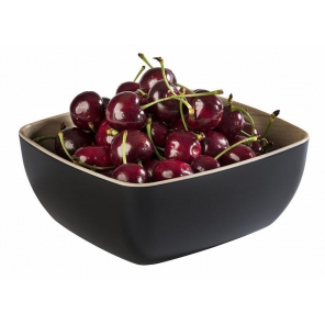 FRIDA GN 1/6 quadratische...