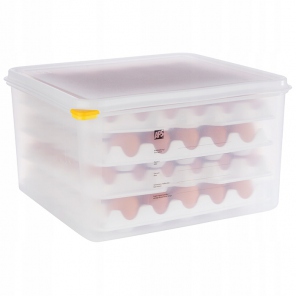 Egg tray, model APS 82419