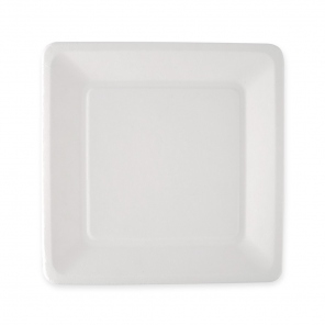 Biodegradable tile square |...