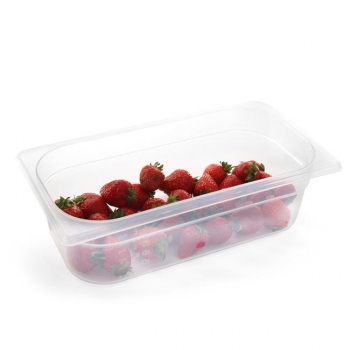 GN 1/3 Behälter aus...