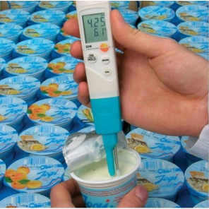 Testo 206-pH2 - pH-Meter