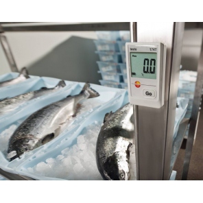 Testo 174T - Set - Temperaturlogger