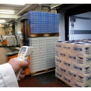 Testo 831 - Pyrometer mit 2-Punkt-Laserzieler (Optik 30:1)