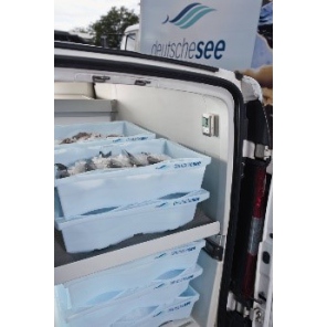 Testo 175 T1 - 1-Kanal-Temperaturlogger