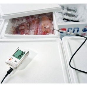 Testo 175 T2 - 2 kanałowy rejestrator temperatury