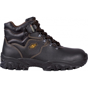 copy of NEW WARREN S7S CI...