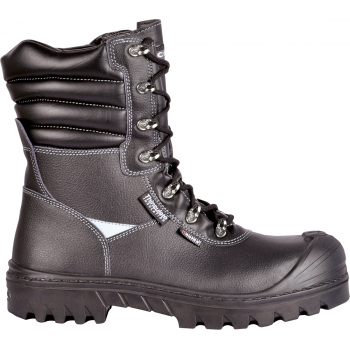 copy of NEW WARREN S7S CI...