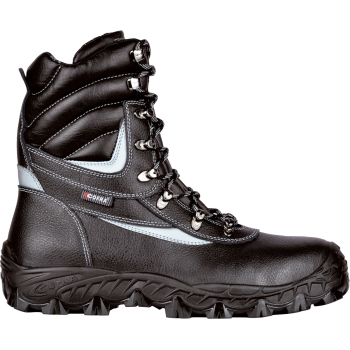 copy of NEW WARREN S7S CI...