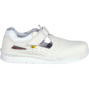 copy of NEW WARREN S7S CI...