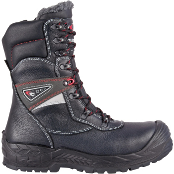 copy of NEW WARREN S7S CI...