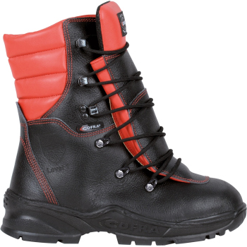 copy of NEW WARREN S7S CI...