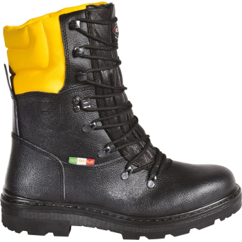 copy of NEW WARREN S7S CI...